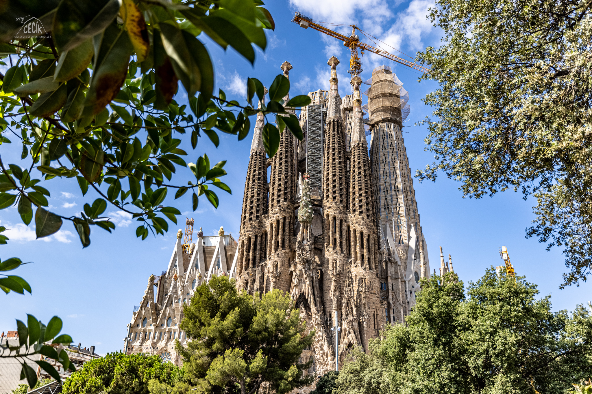 Pohled na katedrálu od Plaça de Gaudí